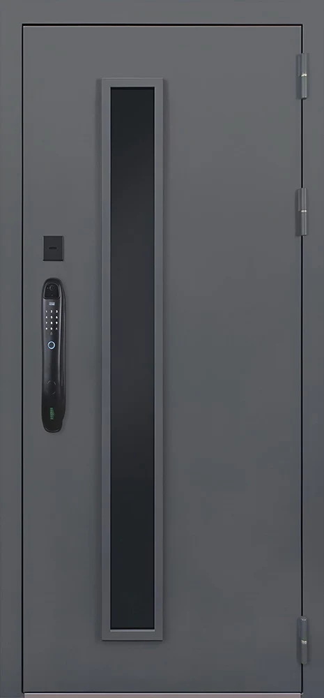 Trento с окном (терморазрыв 3к) (биометрический замок Smart lock DZ 888) — наружная сторона